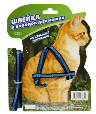 Шлейка для кошек Trixie с поводком из нейлона, купить в интернет-магазине  Филя с быстрой доставкой в Санкт-Петербурге