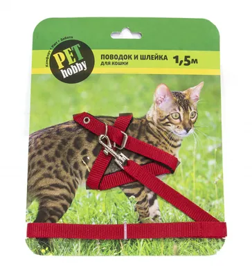 Поводок шлейка для кошек и собак Werlion 15520185 купить за 166 ₽ в  интернет-магазине Wildberries