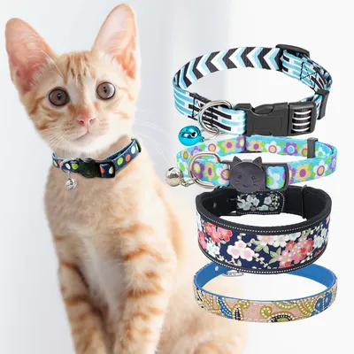 Шлейка-стропа для кошек + поводок 1,5м, цвет В цвете, цены, купить в  интернет-магазине Четыре Лапы с быстрой доставкой