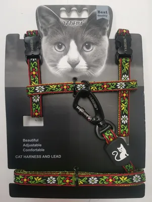 Шлейка-поводок для кошек TRIXIE, 22-42 см/ 10мм купить по низким ценам в  интернет-магазине Uzum