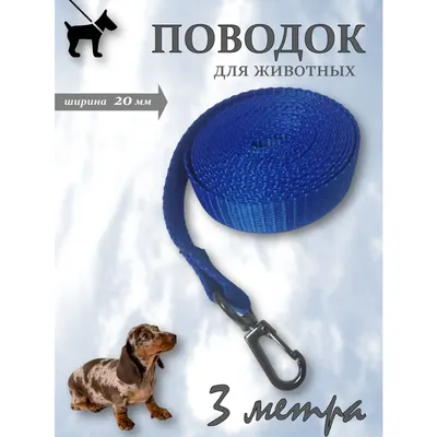 БАРС ошейник для кошек от блох и клещей, цена, инструкция, купить в Москве  и регионах