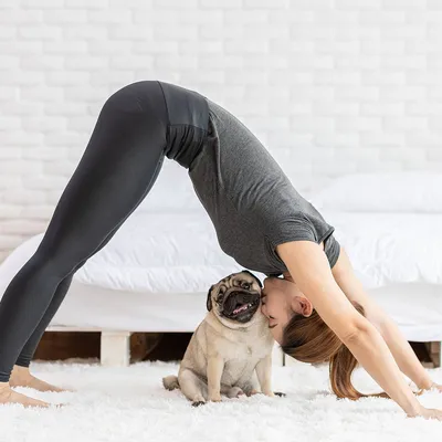 Поза собаки мордой вниз в йоге: как правильно делать, польза и вред  упражнения