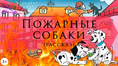 Пожарные собаки (Лев Толстой) / Рассказ | Рассказы, Собаки, Лев толстой