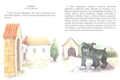Иллюстрация 1 из 7 для Пожарные собаки. Булька - Лев Толстой | Лабиринт -  книги. Источник: Лабиринт