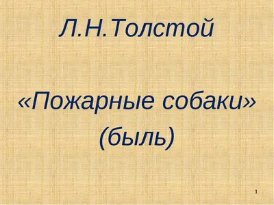 Собаки спасатели МЧС России: в горах, на воде и их породы