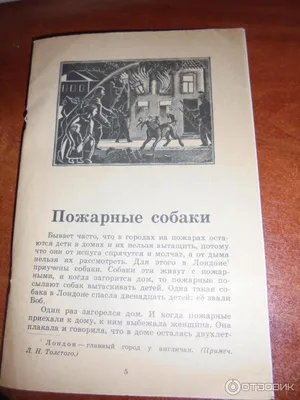 Иллюстрация 1 из 8 для Пожарные собаки - Лев Толстой | Лабиринт - книги.  Источник: Лабиринт