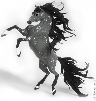 Aleksandra @krylova.ph | Horse girl photography, Western photoshoot,  Portrait girl