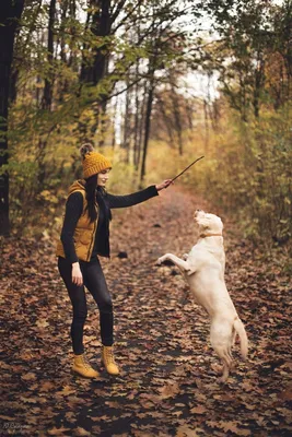 Фото на улице с собакой осенью | Фотосессия, Идеи для фото, Осень