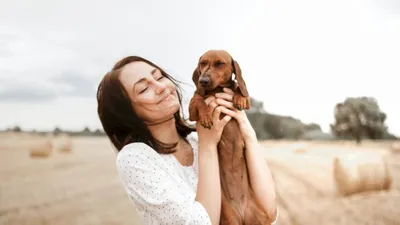 Фотографии с собаками – идеи для фотосессии с домашними животными