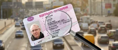 Как проверить водительское удостоверение по базе ГИБДД
