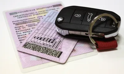 Минцифры тестирует цифровые водительские права в приложении «Госуслуги Авто»  «ВКонтакте»