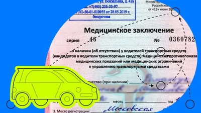 Зона погрузки: какие бывают категории водительских прав для коммерческого  транспорта - читайте в разделе Разбор в Журнале Авто.ру