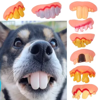Зубы собаки стоковое фото. изображение насчитывающей ветеринарно - 28059376