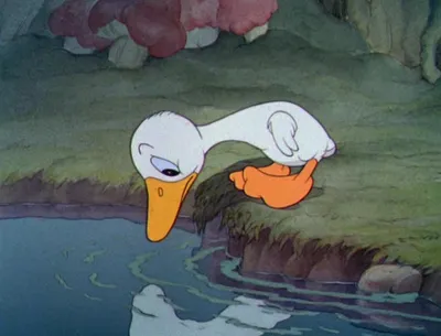 Удивительное превращение: фото лебедя из сказки Гадкий утенок