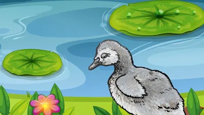 Фото Превращение Гадкого утенка в лебедя: уникальное изображение лебедя