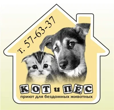 FANlife.ru Ижевск › Места › Приют «Кот и Пёс»