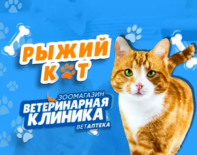 UAlNi : Официальная тема приюта \"Кот и Пёс\": наши питомцы ждут любой  помощи! и свою семью! : О животных