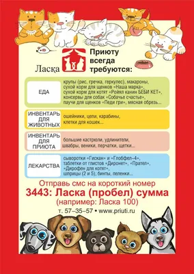 Поездка в приют для животных ЛАСКА (г.Барнаул) | Пикабу
