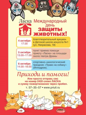 Власти Барнаула вновь обсуждают увеличение площадей приюта «Ласка» из-за  роста числа отловленных собак