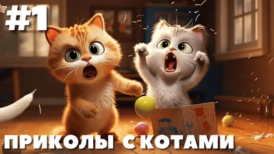 лучшие приколы с котами » uCrazy.ru - Источник Хорошего Настроения
