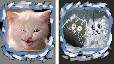 😄😄😄самые смешные и озорные коты 🐈 Подписывайся 👉 @insta_pussies ⠀  Ставь уведомления о новых постах🔔 ⠀ #кот #коты #котики #кошка #прикол… |  Instagram