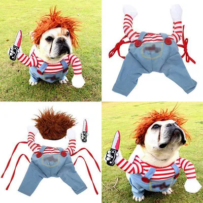 Забавная одежда для собак, косплей костюм для собак, смешные наряды на  Хэллоуин, набор ножей для домашних животных, кошек, собак, фестивальная  вечеринка – лучшие товары в онлайн-магазине Джум Гик