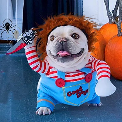 Купить Pet Deadly Doll Костюм для собаки Косплей для собак Забавные костюмы  на Хэллоуин Одежда для собак для собак Кошки Вечернее платье для щенков  Крутой наряд для собаки Страшная жуткая одежда |