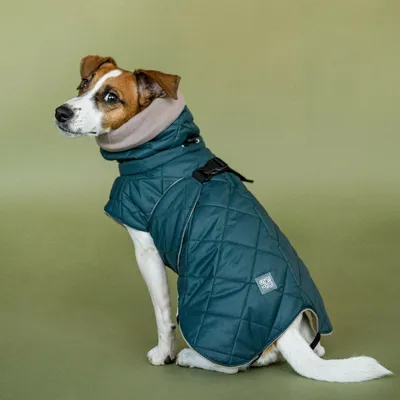 Одежда для маленьких собак, непромокаемая одежда для собак, куртка для  щенков, зимний теплый жилет, пальто для собак, одежда для чихуахуа,  французского бульдога – лучшие товары в онлайн-магазине Джум Гик