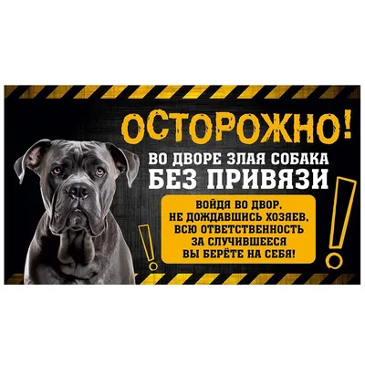 Табличка, с юмором, прикол, DANGER DOG, Осторожно! Во дворе собака без  привязи, Кане корсо, 25x14 см, 25 см, 14 см - купить в интернет-магазине  OZON по выгодной цене (1095347509)
