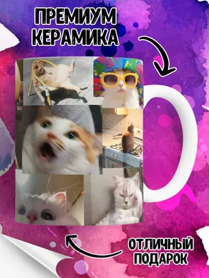 Кружка Мемные котики на подарок , с прикольной надписью картинкой 330 мл ,  КР167441 | AliExpress