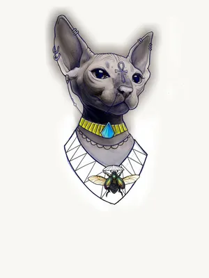 Сфинкс кошка рисунок - 58 фото