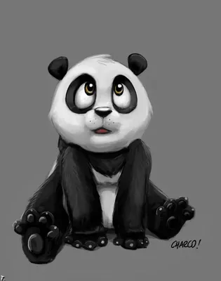 Самые милые и забавные панды