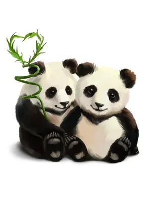 Панды! Смешные и Милые! Funny Panda / Забавная Видео Подборка / - YouTube