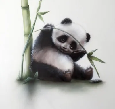 Московский зоопарк показал милые кадры с маленькой пандой