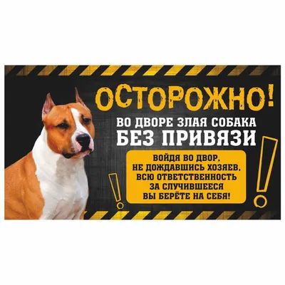 Табличка, с юмором, прикол, DANGER DOG, Осторожно! Во дворе собака без  привязи, Стафф 25x14 см, 25 см, 14 см - купить в интернет-магазине OZON по  выгодной цене (982388748)