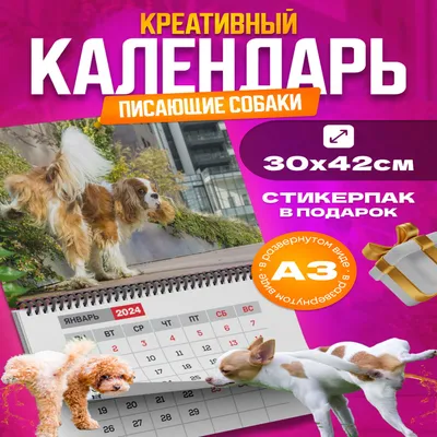 смешные картинки (фото приколы) :: котэ (прикольные картинки с кошками) /  смешные картинки и другие приколы: комиксы, гиф анимация, видео, лучший  интеллектуальный юмор.