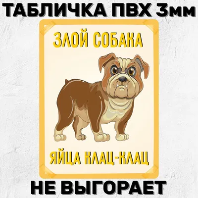 Прикольные Видео С Котами И Собаками | TikTok