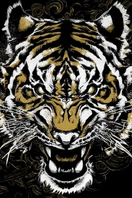 Тигр в национальном парке \"Земля леопарда\" / большой котэ :: тигр :: котэ ( прикольные картинки с кошками) / смешные картинки и другие приколы:  комиксы, гиф анимация, видео, лучший интеллектуальный юмор.