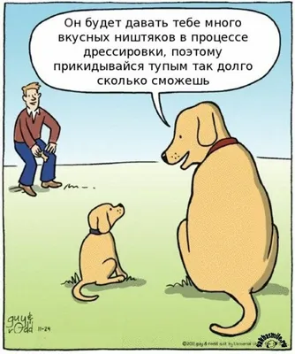 ТОП-20: Анекдоты про собак | ПЕРЕШАГНИ ГРУСТЬ:) | Дзен