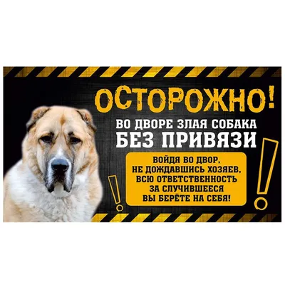 Табличка, с юмором, прикол, DANGER DOG, Осторожно! Во дворе собака без  привязи, Алабай, 25x14 см, 25 см, 14 см - купить в интернет-магазине OZON  по выгодной цене (1160213846)