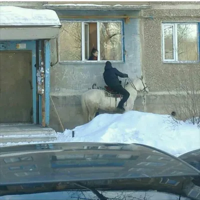 Кружка CoolPodarok Прикол. Принц на белом коне - купить в Москве, цены на  Мегамаркет