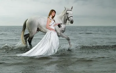 Картинка «Пока все ищут принца на белом коне, я…»