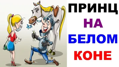 Принц на белом коне\" дарил розы и поздравлял прохожих с 8 марта в  Хабаровске (ВИДЕО) - AmurMedia.ru