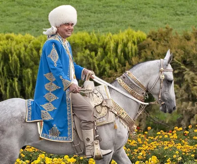 Прекрасный Принц на белом коне Иллюстрация вектора - иллюстрации  насчитывающей волшебство, лошадь: 192226666