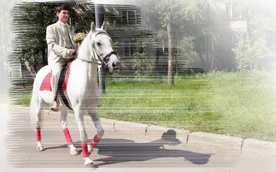 Брутальный принц на белом коне» — создано в Шедевруме