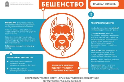 Осторожно! Бешенство | Шумерлинский муниципальный округ Чувашской Республики