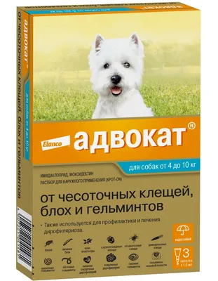 Адвокат ® капли для собак до 4 кг. 3 пип. в упак. купить по низкой цене с  доставкой - БиоСтайл