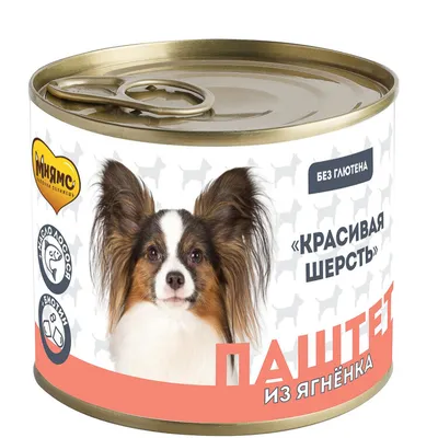 Питомники собак в Хабаровске, 4 ветеринарных клиники, 3 отзыва, фото,  рейтинг собачьих питомников – Zoon.ru