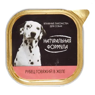Шапка для собаки в интернет-магазине Ярмарка Мастеров по цене 700 ₽ –  RHY4ABY | Аксессуары для питомцев, Хабаровск - доставка по России