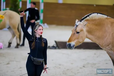 Блогер и наездница Нина Принц: «Если не выполнять все четко, то лошадь  просто перестанет слушаться» | Интернет-журнал Морс | Курск